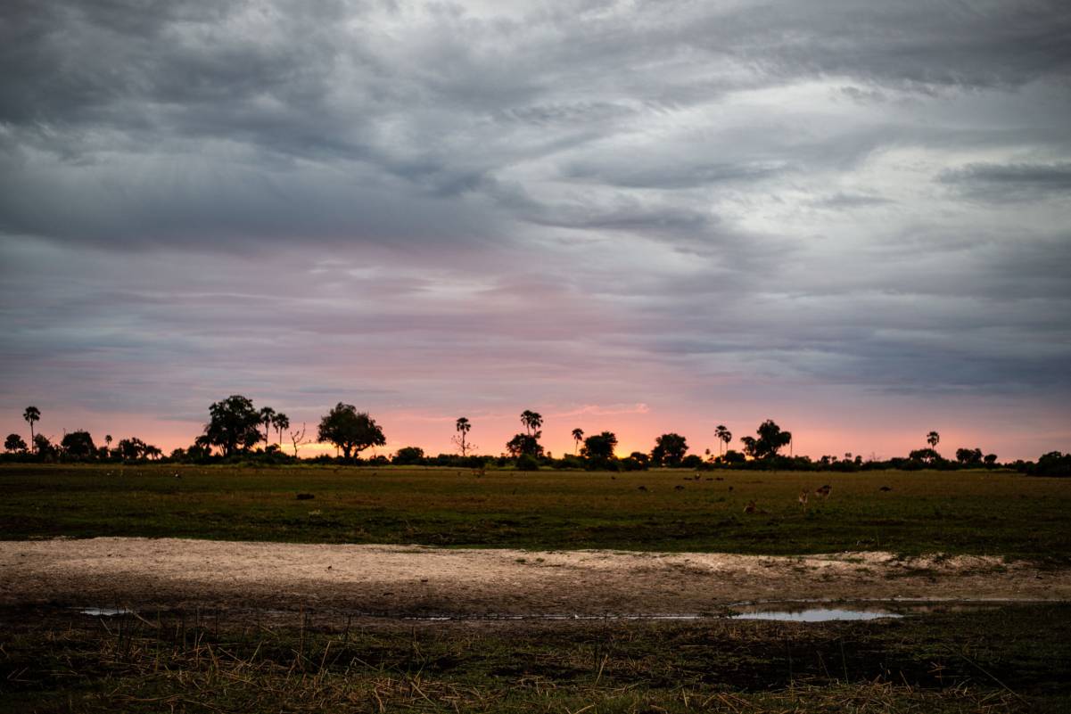 20190218_Okavango_Delta-24