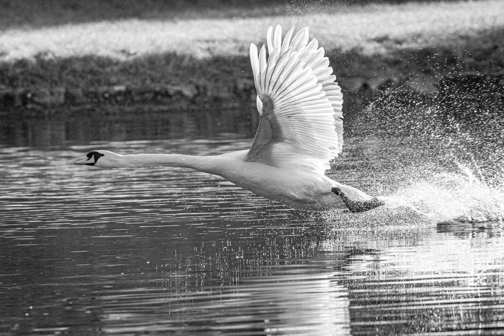 25.4.2021 - Nymphenburger Park 7:00