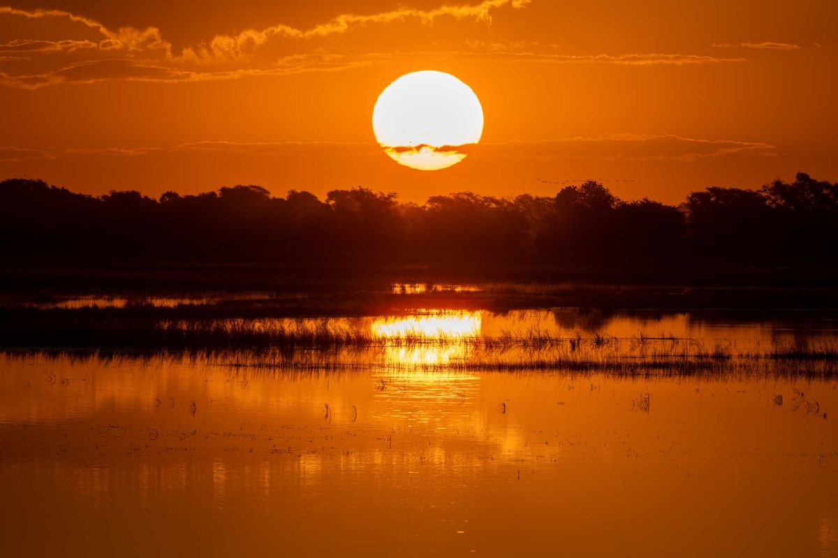 Sonnenuntergang &uuml;ber dem Chobe River