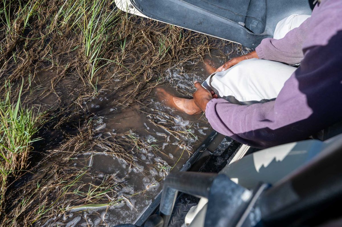 Stuck in the mud - das Wasser aus Angola ist da