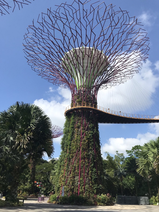 Gardens by the Bay - Supertrees