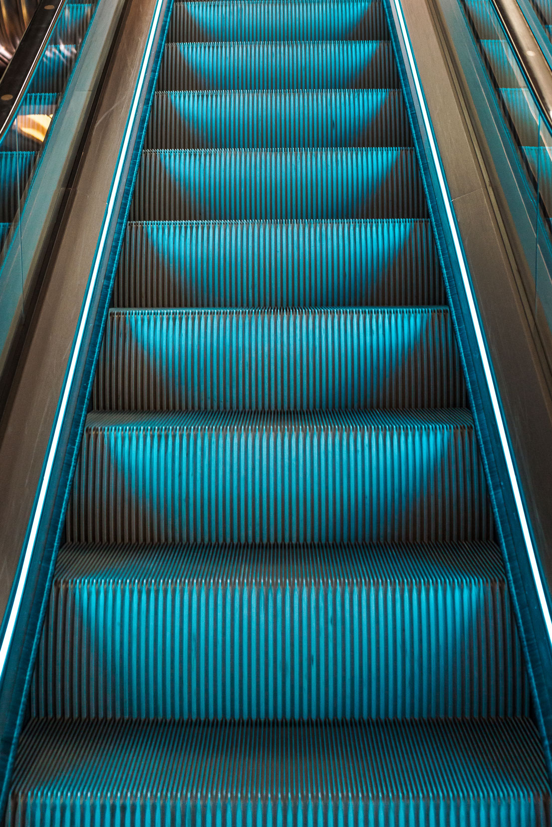 Harrods